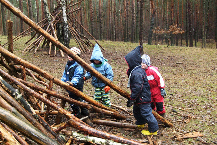 Wald